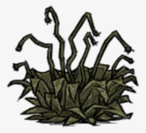 Juicy Berry Bush Withered - Juicy Berry Bush Don T Starve Together