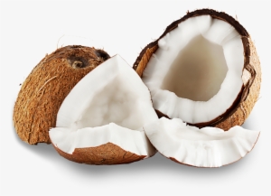 Coconut Copra