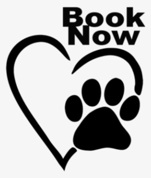Website Photos
