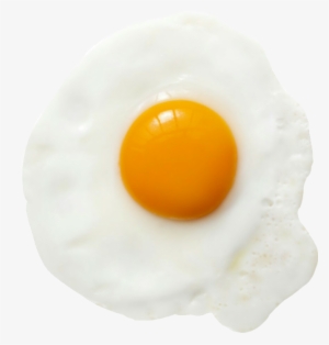 Egg Interesting Cute Freetoedit Tumbler Eggs - Egg Transparent