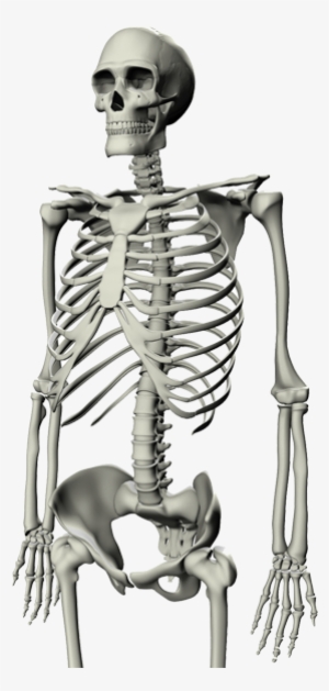 The Existence Of Panorama's 3d Printing Latest Technology - Skeleton Meme