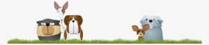 Dogs On-grass - Dog