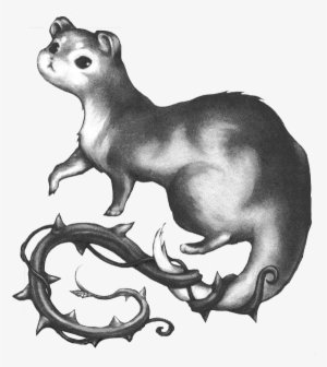 Brier Weasel - Weasel Png