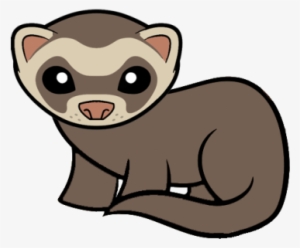 ferret clipart transparent - black footed ferret cartoon