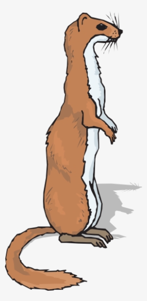 How To Set Use Brown Standing Ferret Svg Vector