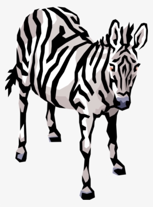 Vector Illustration Of Striped African Zebra Horse - Cliparts Of Animals To Download