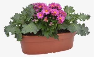 Fall Oval Planter - Flower