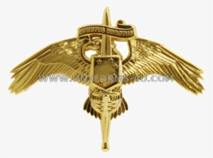 Marine Corps Raider Badge