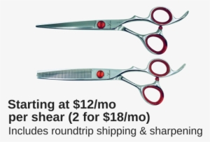 Elite Shears - Scissors