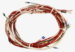 Wire Harnesses - Electrical Wiring