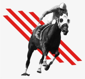 Woodbine Events 2018 Recap - Horse Racing Transparent Clip Art