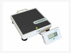 Slimming World Weighing Scales