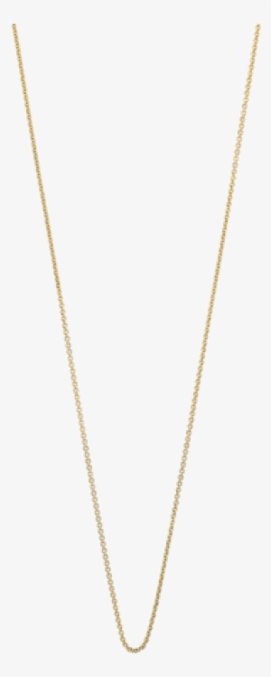 14k Solid Fine Chain - Kate Spade Circle Necklace