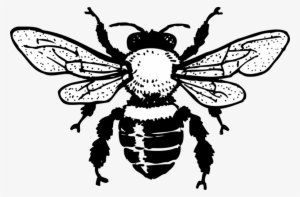 Download Vintage Bee Clip Art Clipart Western Honey - Honey Bee Rectangle Sticker