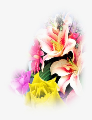 Go To Image - Peruvian Lily