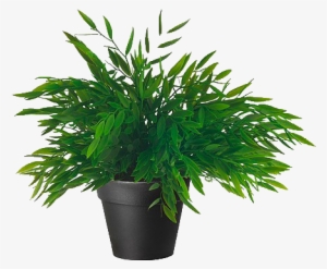 Plant Png Tumblr - Ikea Artificial Potted Plant, House Bamboo, 11 Inch