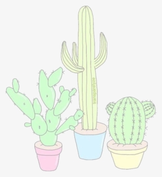 Aesthetics & Overlays Cacti, Tumblr Drawings, Cute - San Pedro Cactus