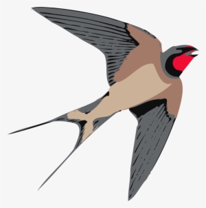 Sparrow Png Free Download - Swallow Clip Art