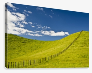 Wooden Fence Posts Running Through A Grassy Field - Wall