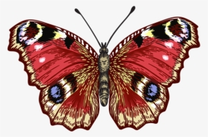 Butterfly Png Clip Art Image - American Painted Lady