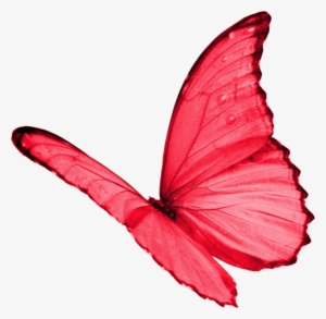 Papillon Clipart Red Butterfly - Butterflies Transparent Red