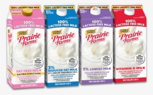 Prairie Farms 100% Lactose Free Fat Free Milk, 0.5