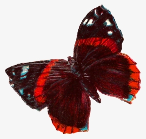 Red Butterfly Image Downloads - Clip Art