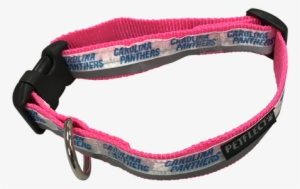 Carolina Panthers Dog Collar - Dog Collar