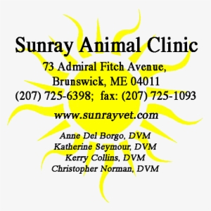 Sunray Animal Clinic - Graphic Design
