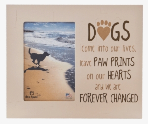Picture Frame "dogs Come Into Our Lives, Leave Paw - Memorial Pet Picture Frame