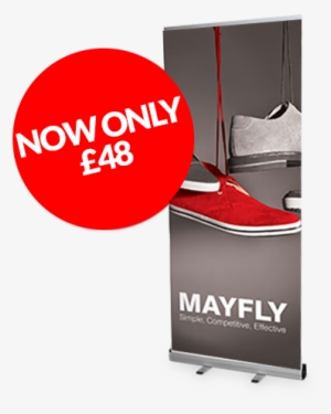 Mayfly Banners - 1m X 2m Pull Up Banner
