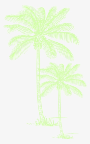 How To Set Use Palm Tree Clipart - Tropisches Ombre Sonnenuntergang Der Duschvorhang