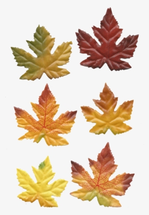 Leaves Are Falling, Pumpkins Are Picked And Thanksgiving's - Fall Decorations Printable