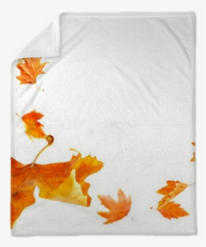 Autumn Leaves Falling And Spinning Isolated On White - Leaves Falling
