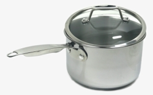Stainless Steel Saucepan With Glass Lid - Steel