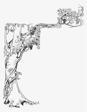 Black And White Illustration Of A Tree With A Grape - Honeycomb On Tree Drawing