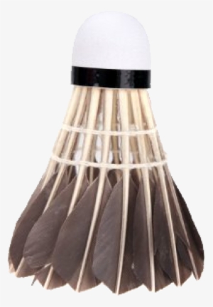 Badminton Chicken Hair Png