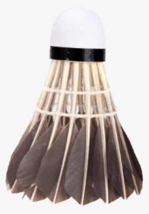 Badminton Chicken Hair Png - Regai Regail 12pcs Black Badminton Goose Feather Cork