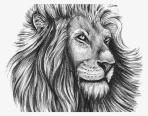 Lion Tattoo Png Transparent Images - Lion Tattoo Design Template