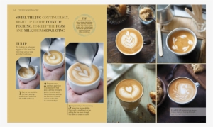 The Guide Through Step By Step Barista Training - Coffee Obsession Anette Moldvaer