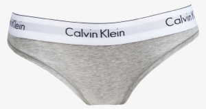 Calvin Klein - Calvin Klein Underwear Transparent Png