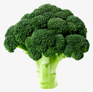 Brocoliseminisbc1710 - Vegetable