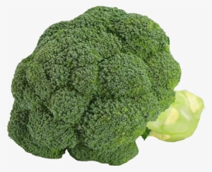 Borécole Brocoli Sur Fond Transparent - Broccoli