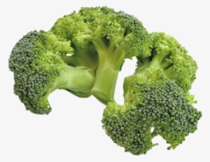 Sourced From Spain - Broccoli