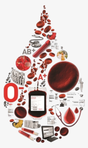 Blood Drop Image - Blood Product Png