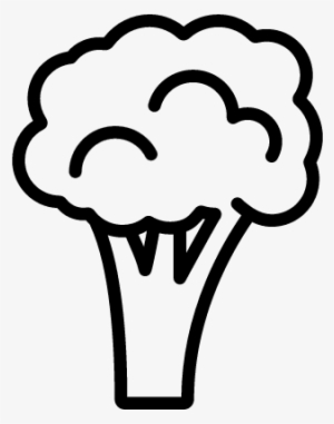 Broccoli Outline Vector - Broccoli Symbol