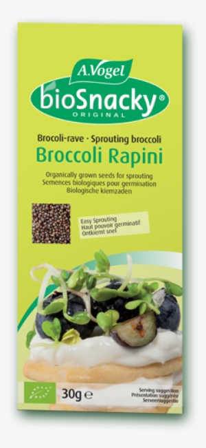 Sprouts From Organically Produced Broccoli Seeds - Avogel Bio Snacky - Brocolli - 40 G