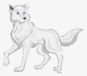 Cute Arctic Wolf Drawing - Drawing