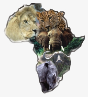 The Big 5 Is One Of The Most Amazing Experience On - Big 5 Animals Logo
