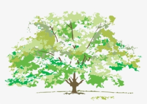 Free Maple Tree Clip Art Design - Summer Nature Clip Art